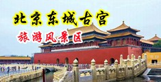 淫水直流图中国北京-东城古宫旅游风景区